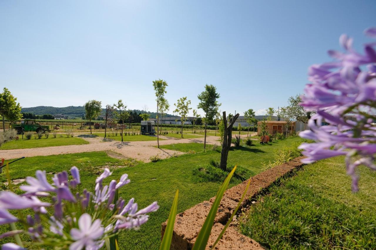 Agricampeggio Le Corniole Affi Esterno foto